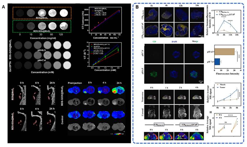 Theranostics Image