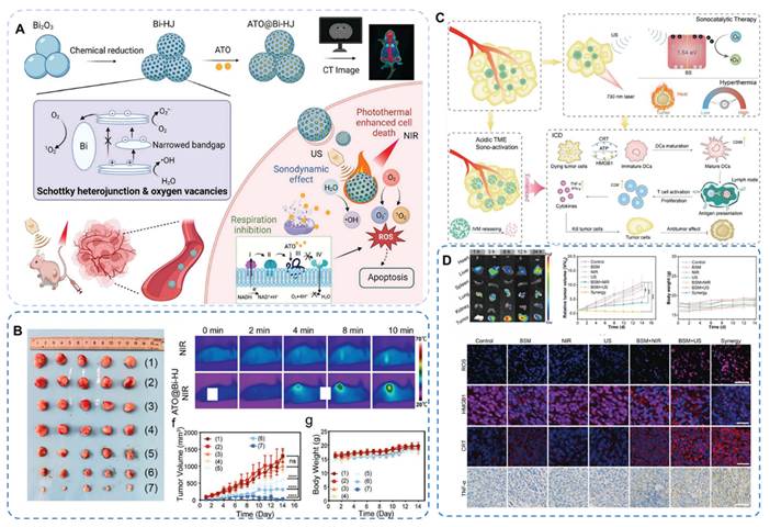 Theranostics Image