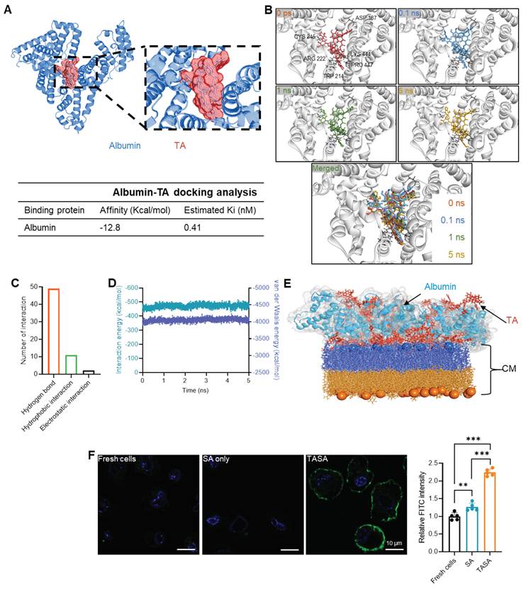 Theranostics Image