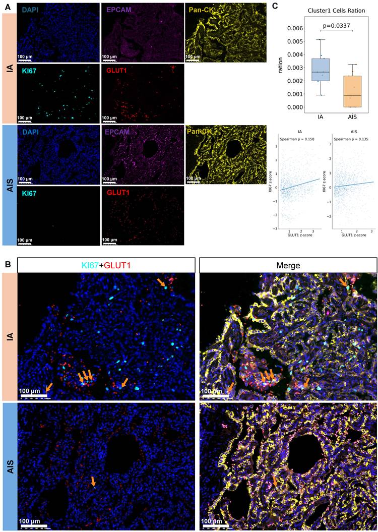 Theranostics Image