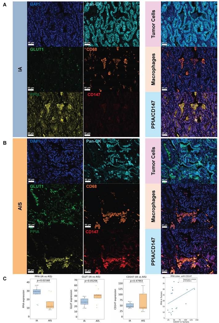 Theranostics Image