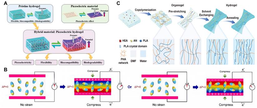 Theranostics Image