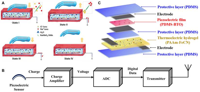 Theranostics Image