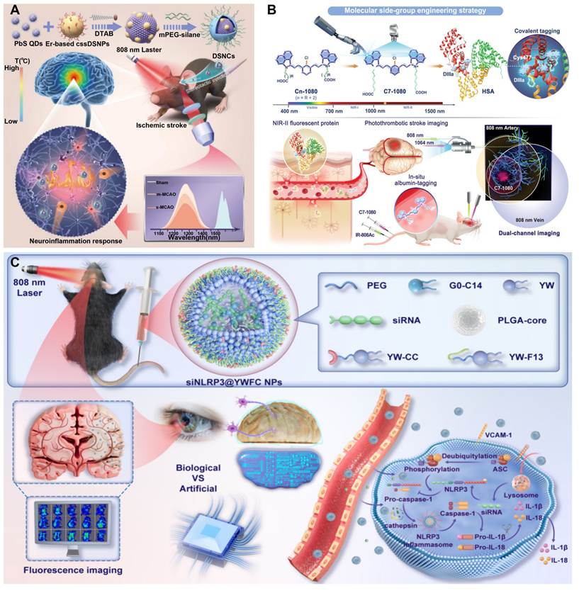 Theranostics Image