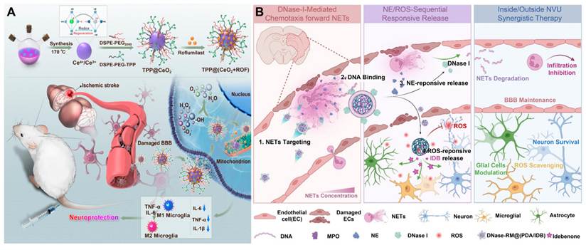Theranostics Image