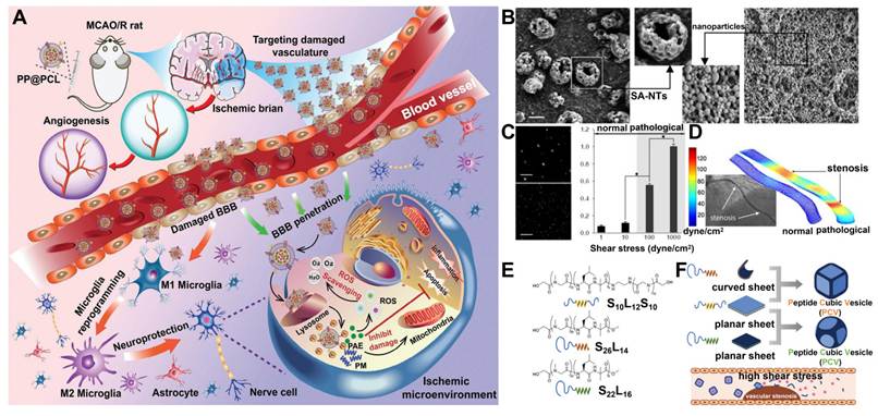 Theranostics Image