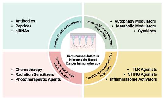 Theranostics Image
