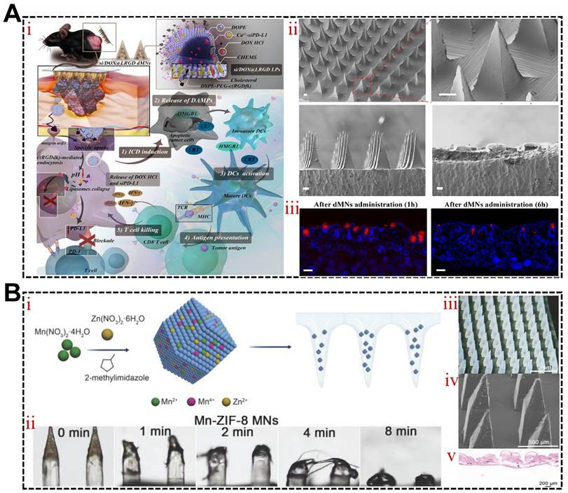 Theranostics Image