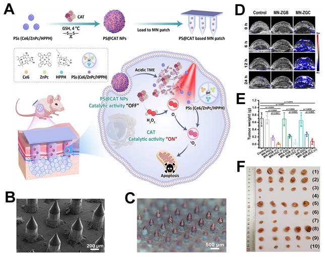 Theranostics Image