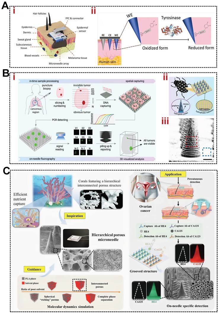 Theranostics Image