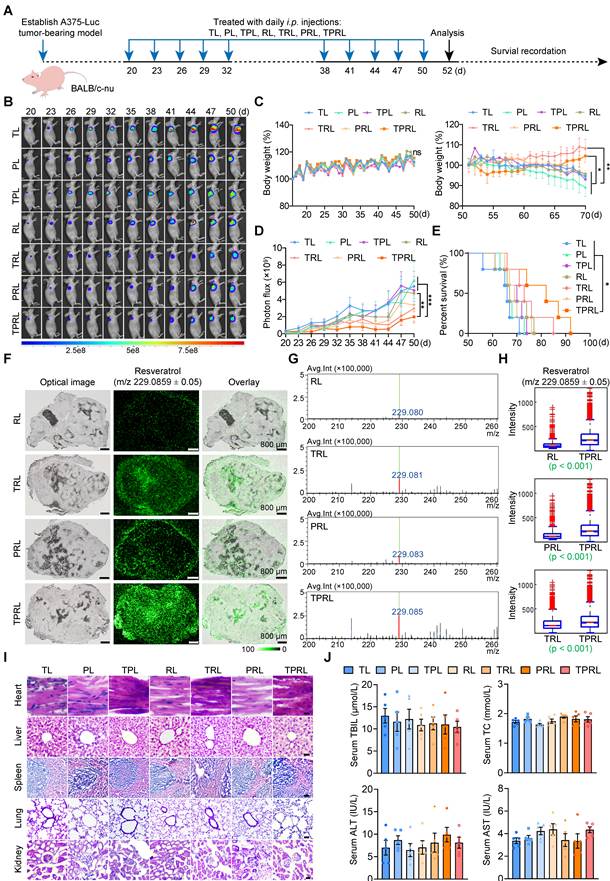 Theranostics Image