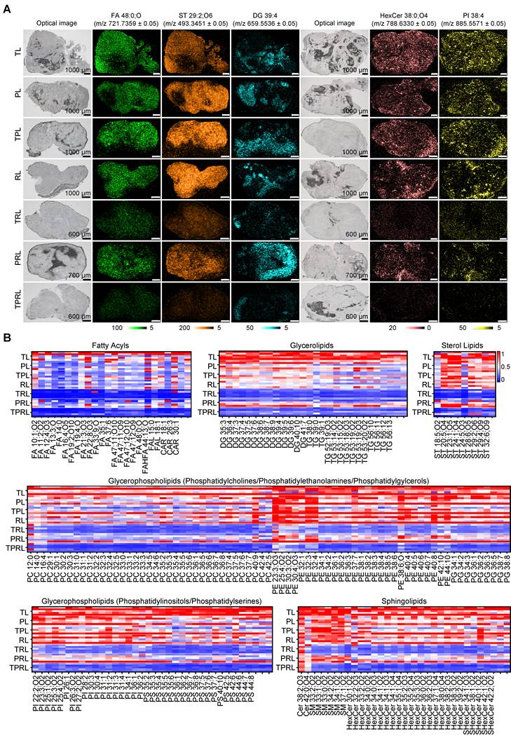 Theranostics Image
