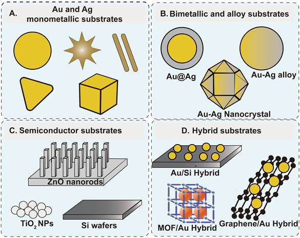 Theranostics Image