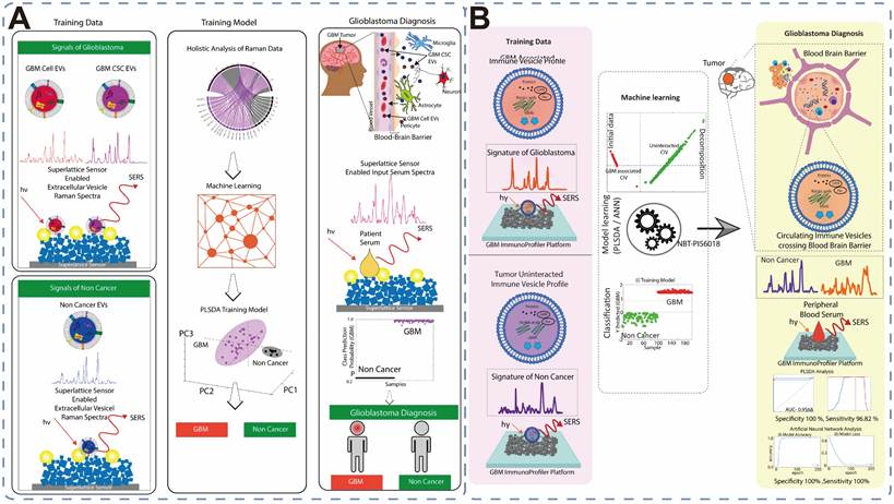Theranostics Image