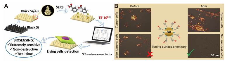 Theranostics Image