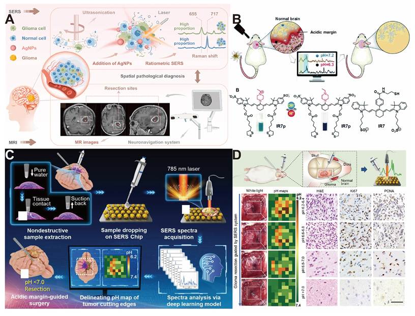Theranostics Image