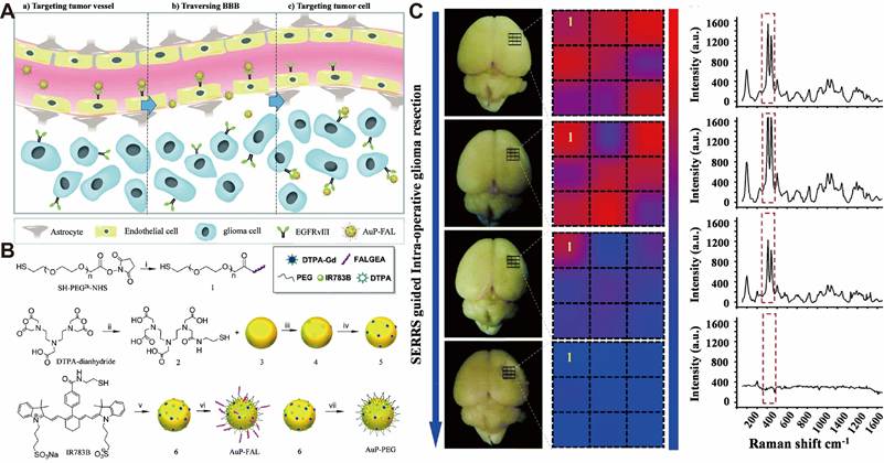 Theranostics Image
