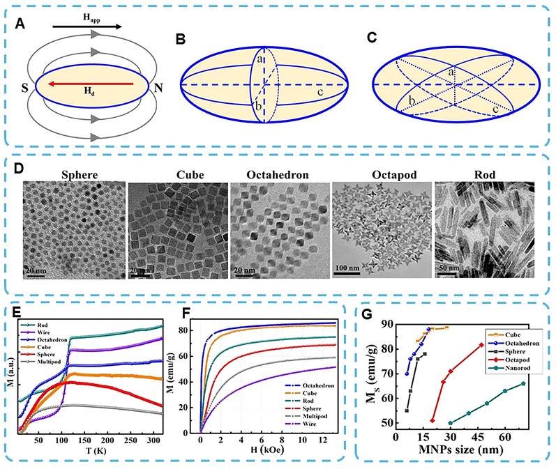 Theranostics Image