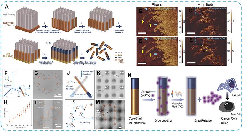 Theranostics Image