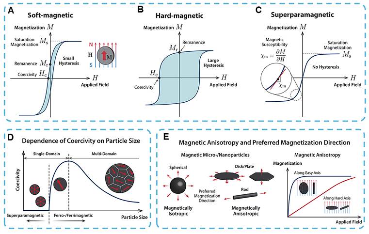 Theranostics Image